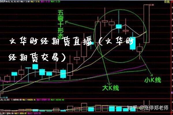 文华财经期货直播（文华财经期货交易）_https://www.boyangwujin.com_期货直播间_第1张