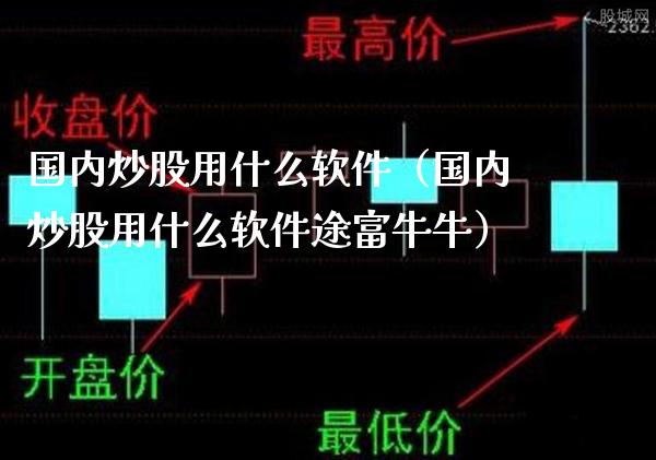 国内炒股用什么软件（国内炒股用什么软件途富牛牛）