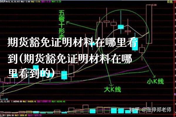 期货豁免证明材料在哪里看到(期货豁免证明材料在哪里看到的)