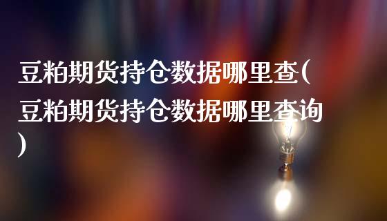 豆粕期货持仓数据哪里查(豆粕期货持仓数据哪里查询)