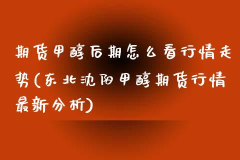 期货甲醇后期怎么看行情走势(东北沈阳甲醇期货行情最新分析)