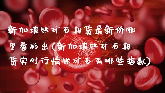新加坡铁矿石期货最新价哪里看的出(新加坡铁矿石期货实时行情铁矿石有哪些指数)