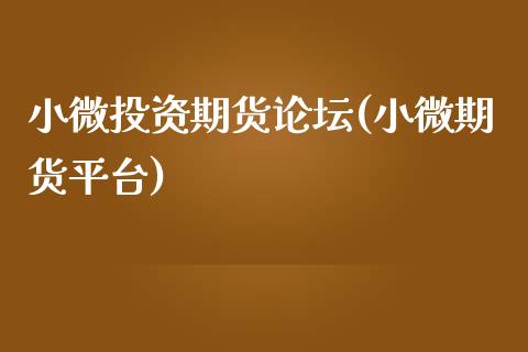 小微投资期货论坛(小微期货平台)_https://www.boyangwujin.com_期货直播间_第1张