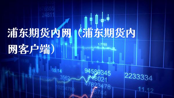 浦东期货内网（浦东期货内网客户端）