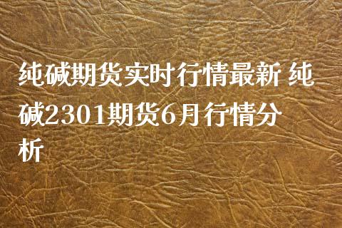 纯碱期货实时行情最新 纯碱2301期货6月行情分析_https://www.boyangwujin.com_期货直播间_第1张