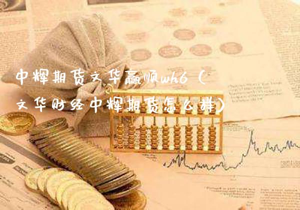 中辉期货文华赢顺wh6（文华财经中辉期货怎么样）_https://www.boyangwujin.com_期货直播间_第1张