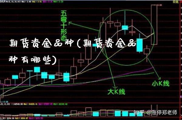 期货资金品种(期货资金品种有哪些)
