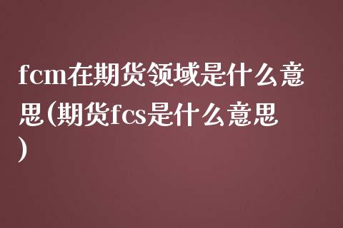 fcm在期货领域是什么意思(期货fcs是什么意思)