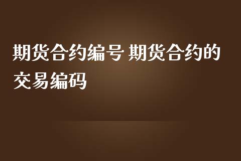期货合约编号 期货合约的交易编码_https://www.boyangwujin.com_道指期货_第1张