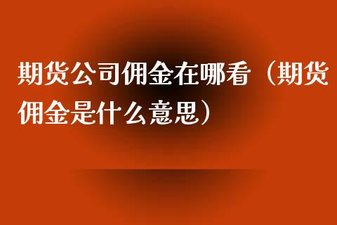 期货公司佣金在哪看（期货佣金是什么意思）_https://www.boyangwujin.com_期货直播间_第1张
