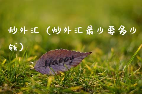 炒外汇（炒外汇最少要多少钱）_https://www.boyangwujin.com_期货直播间_第1张