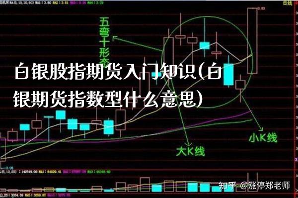 白银股指期货入门知识(白银期货指数型什么意思)_https://www.boyangwujin.com_纳指期货_第1张