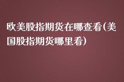 欧美股指期货在哪查看(美国股指期货哪里看)