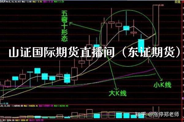 山证国际期货直播间（东证期货）_https://www.boyangwujin.com_期货直播间_第1张