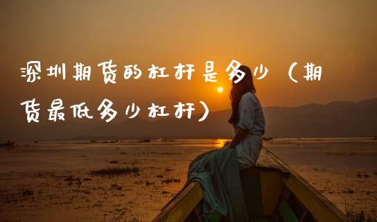 深圳期货的杠杆是多少（期货最低多少杠杆）_https://www.boyangwujin.com_黄金期货_第1张