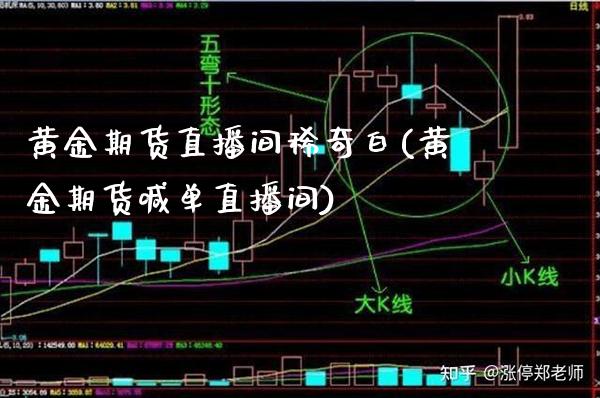 黄金期货直播间稀奇白(黄金期货喊单直播间)