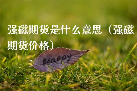 强磁期货是什么意思（强磁期货价格）_https://www.boyangwujin.com_期货直播间_第1张