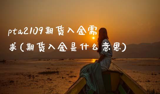 pta2109期货入金需求(期货入金是什么意思)