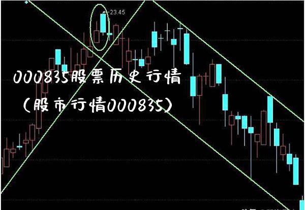 000835股票历史行情（股市行情000835）