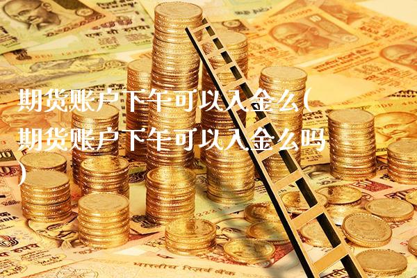 期货账户下午可以入金么(期货账户下午可以入金么吗)_https://www.boyangwujin.com_期货直播间_第1张