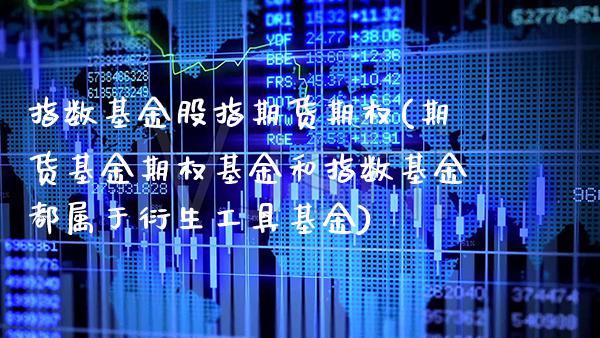 指数基金股指期货期权(期货基金期权基金和指数基金都属于衍生工具基金)