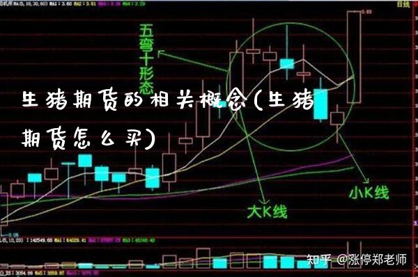 生猪期货的相关概念(生猪期货怎么买)_https://www.boyangwujin.com_期货直播间_第1张