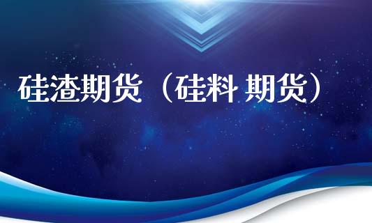 硅渣期货（硅料 期货）
