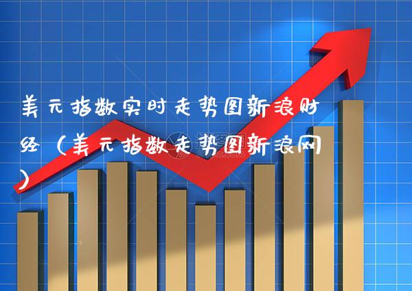 美元指数实时走势图新浪财经（美元指数走势图新浪网）_https://www.boyangwujin.com_期货直播间_第1张