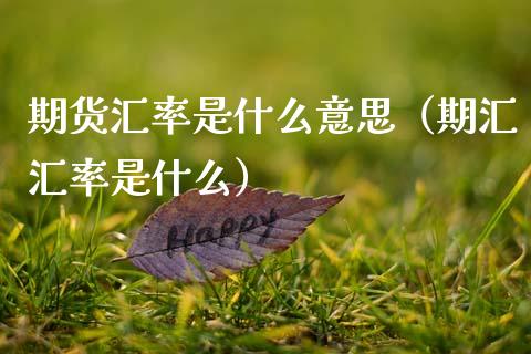 期货汇率是什么意思（期汇汇率是什么）_https://www.boyangwujin.com_期货直播间_第1张