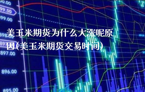 美玉米期货为什么大涨呢原因(美玉米期货交易时间)_https://www.boyangwujin.com_期货直播间_第1张
