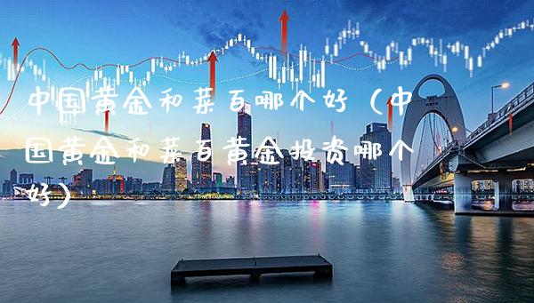 中国黄金和菜百哪个好（中国黄金和菜百黄金投资哪个好）_https://www.boyangwujin.com_期货直播间_第1张