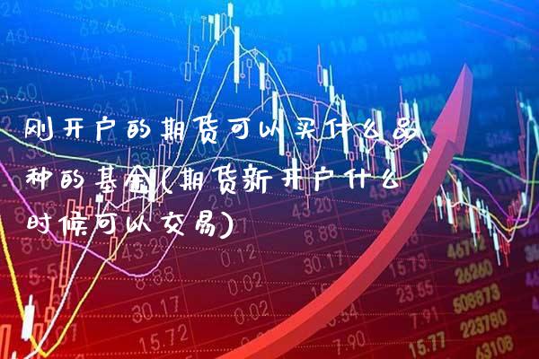 刚开户的期货可以买什么品种的基金(期货新开户什么时候可以交易)_https://www.boyangwujin.com_白银期货_第1张