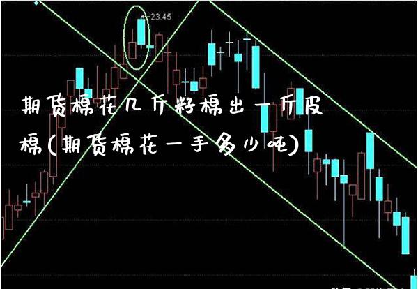 期货棉花几斤籽棉出一斤皮棉(期货棉花一手多少吨)_https://www.boyangwujin.com_原油直播间_第1张