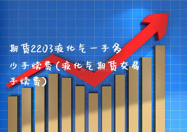 期货2203液化气一手多少手续费(液化气期货交易手续费)