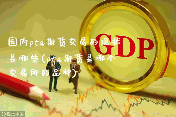 国内pta期货交易的现状是哪些(pta期货是哪个交易所的品种)_https://www.boyangwujin.com_期货开户_第1张