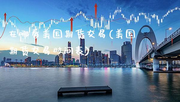 在哪看美国期货交易(美国期货交易时间表)
