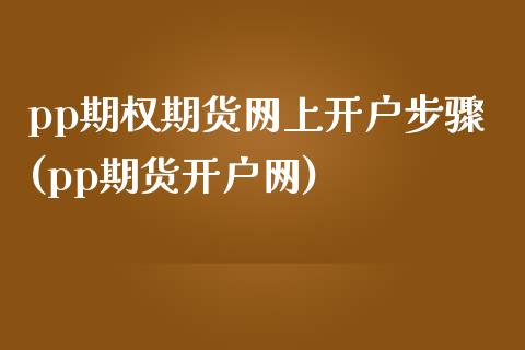 pp期权期货网上开户步骤(pp期货开户网)_https://www.boyangwujin.com_期货直播间_第1张
