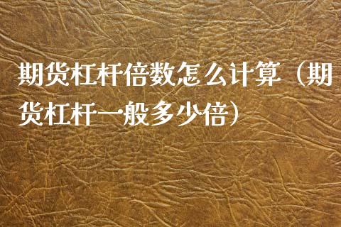 期货杠杆倍数怎么计算（期货杠杆一般多少倍）_https://www.boyangwujin.com_纳指期货_第1张