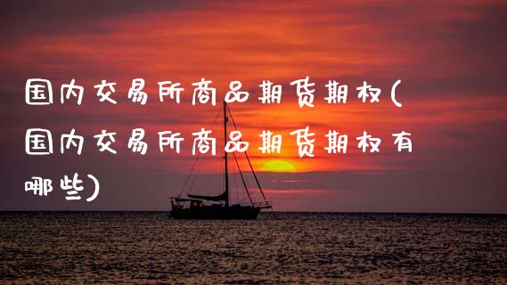 国内交易所商品期货期权(国内交易所商品期货期权有哪些)_https://www.boyangwujin.com_期货直播间_第1张
