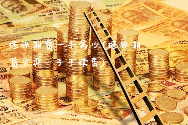 硅铁期货一手多少(硅铁期货买卖一手手续费)_https://www.boyangwujin.com_期货直播间_第1张