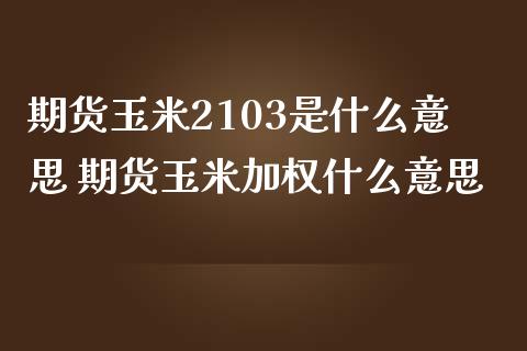 期货玉米2103是什么意思 期货玉米加权什么意思_https://www.boyangwujin.com_道指期货_第1张