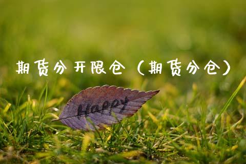 期货分开限仓（期货分仓）