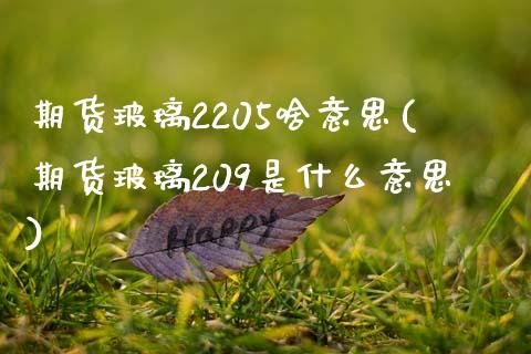期货玻璃2205啥意思(期货玻璃209是什么意思)_https://www.boyangwujin.com_白银期货_第1张