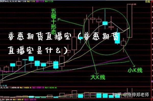 普惠期货直播室（普惠期货直播室是什么）_https://www.boyangwujin.com_期货直播间_第1张