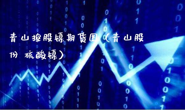 青山控股镍期货图（青山股份 硫酸镍）_https://www.boyangwujin.com_原油期货_第1张