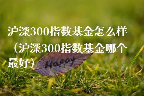 沪深300指数基金怎么样（沪深300指数基金哪个最好）_https://www.boyangwujin.com_期货直播间_第1张
