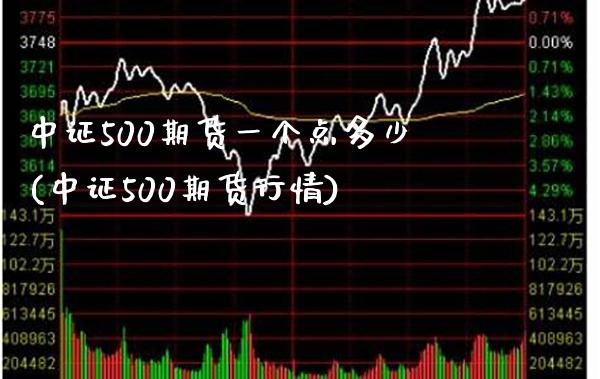 中证500期货一个点多少(中证500期货行情)