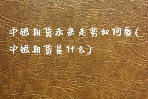 沪银期货未来走势如何看(沪银期货是什么)