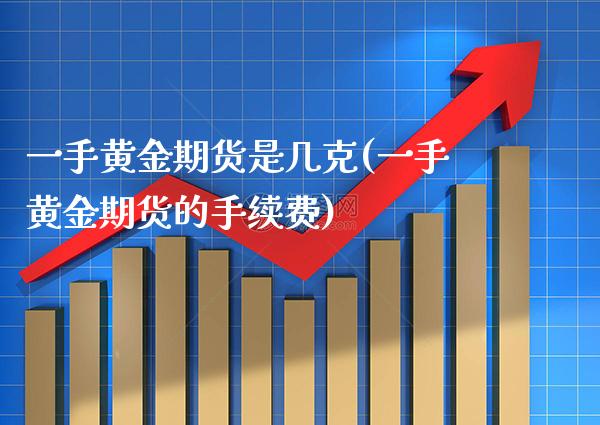 一手黄金期货是几克(一手黄金期货的手续费)_https://www.boyangwujin.com_期货直播间_第1张