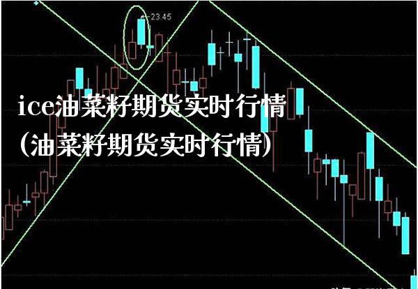 ice油菜籽期货实时行情(油菜籽期货实时行情)